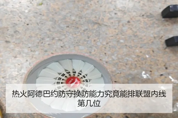 热火阿德巴约防守换防能力究竟能排联盟内线第几位