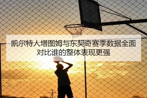 凯尔特人塔图姆与东契奇赛季数据全面对比谁的整体表现更强